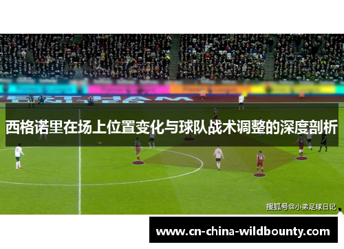 西格诺里在场上位置变化与球队战术调整的深度剖析