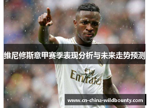 维尼修斯意甲赛季表现分析与未来走势预测